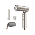 Hair Pocket AHD51 AHD51 Hair Pocket Glory Titanyum Altın Islak Kuru Saç Kurutma Makinesi